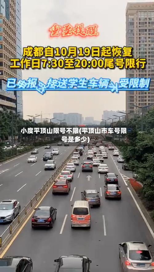 小度平顶山限号不限(平顶山市车号限号是多少)-第3张图片