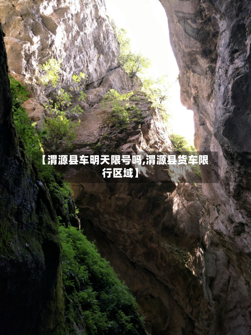 【渭源县车明天限号吗,渭源县货车限行区域】-第3张图片