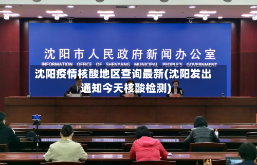 沈阳疫情核酸地区查询最新(沈阳发出通知今天核酸检测)-第2张图片