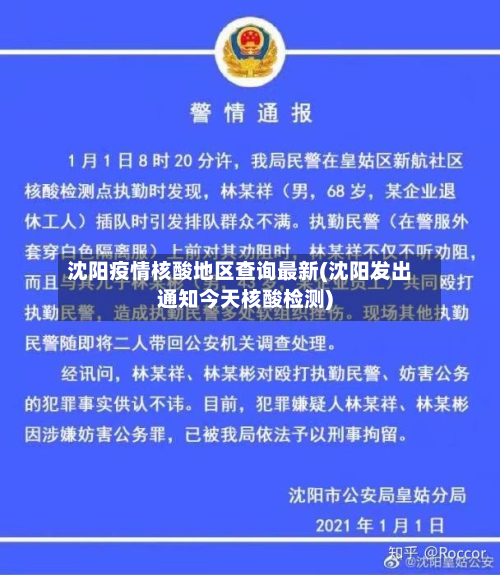 沈阳疫情核酸地区查询最新(沈阳发出通知今天核酸检测)