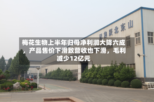 梅花生物上半年归母净利润大降六成，产品售价下滑致营收也下滑，毛利减少12亿元-第2张图片