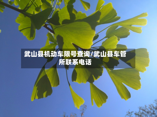 武山县机动车限号查询/武山县车管所联系电话-第2张图片