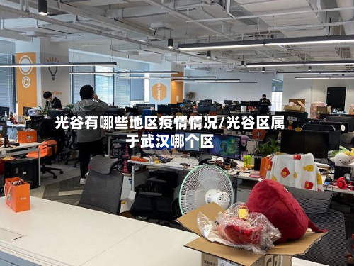 光谷有哪些地区疫情情况/光谷区属于武汉哪个区-第2张图片