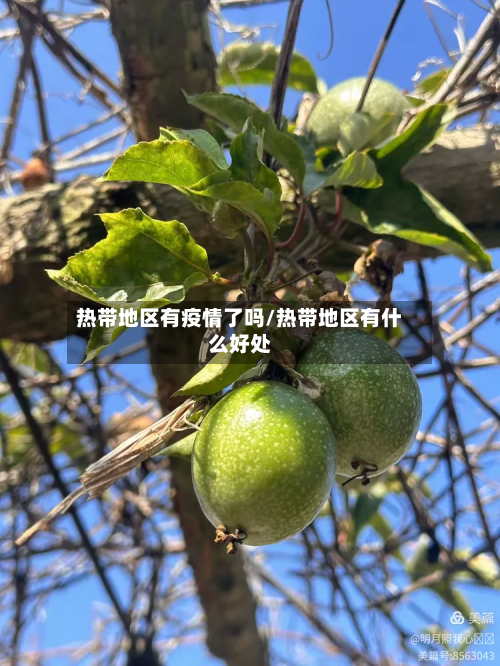 热带地区有疫情了吗/热带地区有什么好处-第2张图片