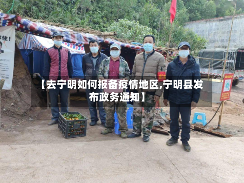 【去宁明如何报备疫情地区,宁明县发布政务通知】-第2张图片