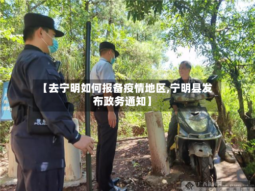 【去宁明如何报备疫情地区,宁明县发布政务通知】-第3张图片