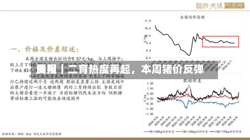 费用周报｜二育热度再起	，本周猪价反弹-第2张图片