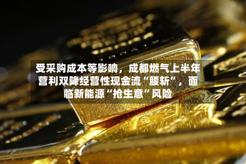 受采购成本等影响，成都燃气上半年营利双降经营性现金流“腰斩	”	，面临新能源“抢生意”风险-第2张图片