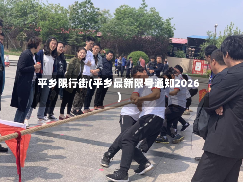 平乡限行街(平乡最新限号通知2026)-第2张图片