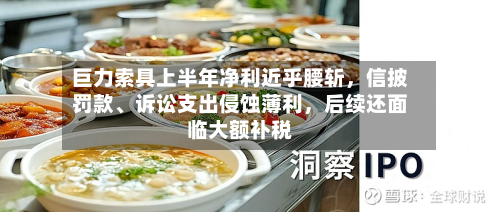 巨力索具上半年净利近乎腰斩，信披罚款、诉讼支出侵蚀薄利，后续还面临大额补税