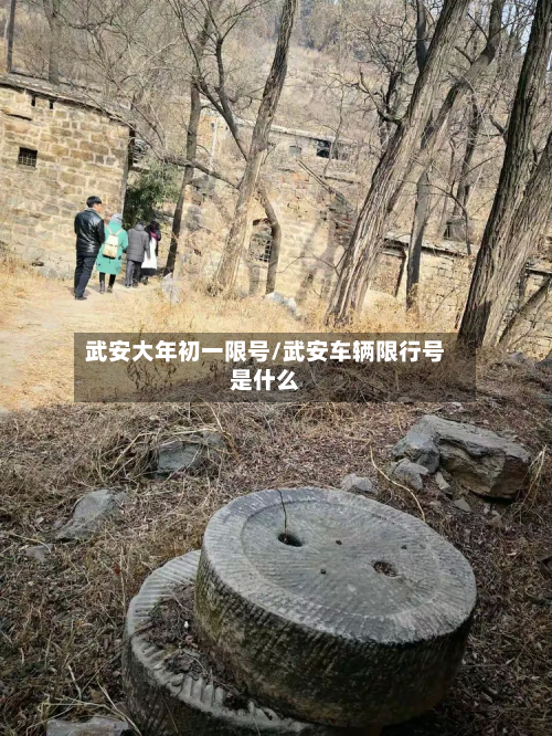 武安大年初一限号/武安车辆限行号是什么-第3张图片