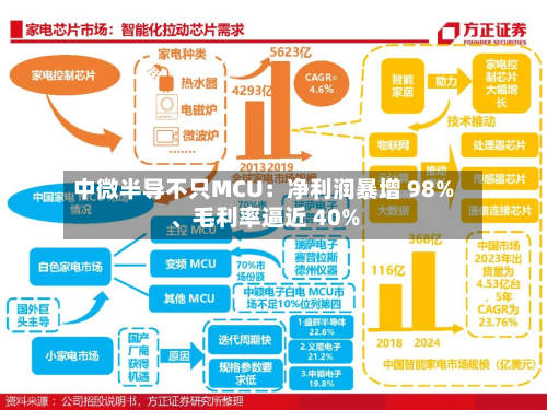 中微半导不只MCU：净利润暴增 98%	、毛利率逼近 40%-第2张图片