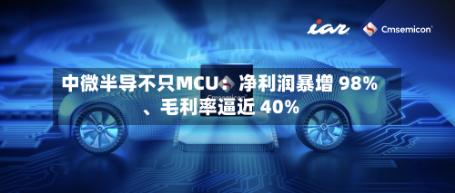 中微半导不只MCU：净利润暴增 98%、毛利率逼近 40%-第3张图片
