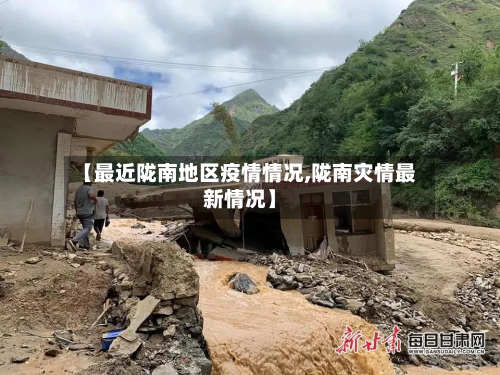 【最近陇南地区疫情情况,陇南灾情最新情况】-第3张图片
