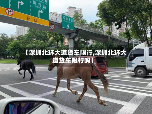【深圳北环大道货车限行,深圳北环大道货车限行吗】