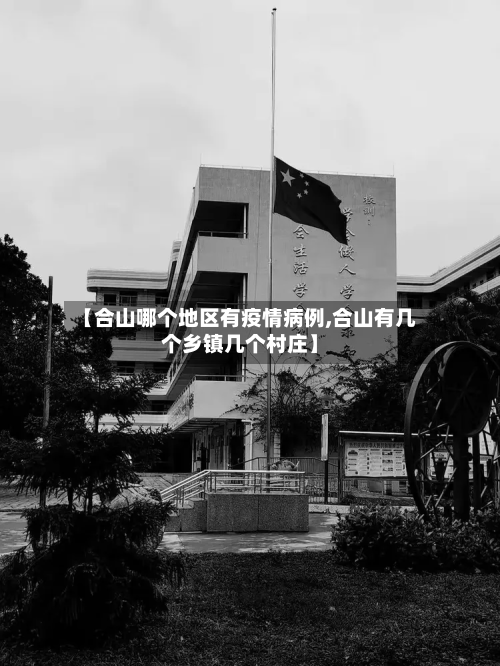 【合山哪个地区有疫情病例,合山有几个乡镇几个村庄】