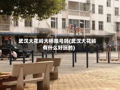 武汉大花岭大桥限号吗(武汉大花岭有什么好玩的)