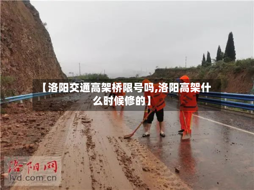 【洛阳交通高架桥限号吗,洛阳高架什么时候修的】-第2张图片