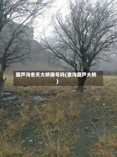 葫芦沟冬天大桥限号吗(激沟葫芦大桥)-第2张图片